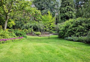 Optimiser l'expérience du jardin à Bareilles