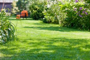 travaux jardin et paysage Bareilles